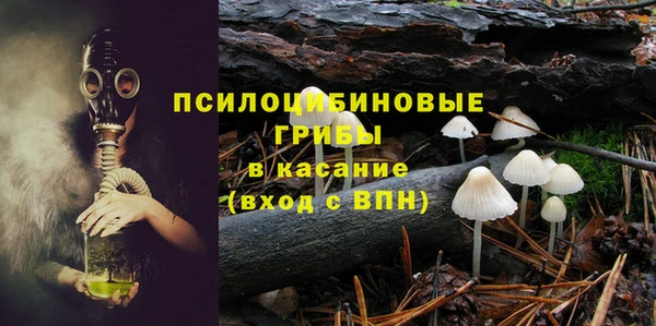 дживик Армянск