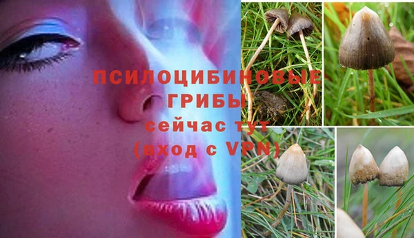 каннабис Арсеньев