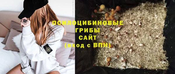 дживик Армянск